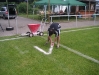 20090627_jugendfest_25