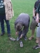 20080531_svlunzhurst_081